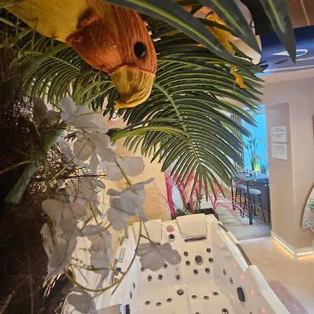 L'oasis Evasion De 60m2 Avec Privatif Et Design